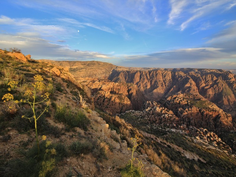 Dana Biosphere Reserve