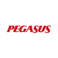 Pegasus Airlines